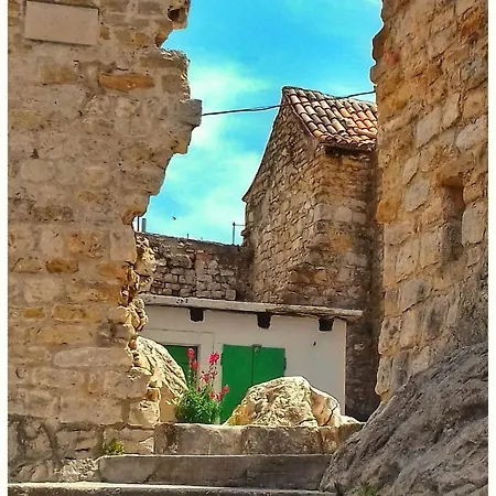 Ivo *